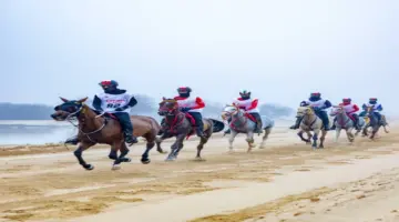 كأس اليمامة يذكي التحدي في مهرجان ولي عهد دبي للقدرة